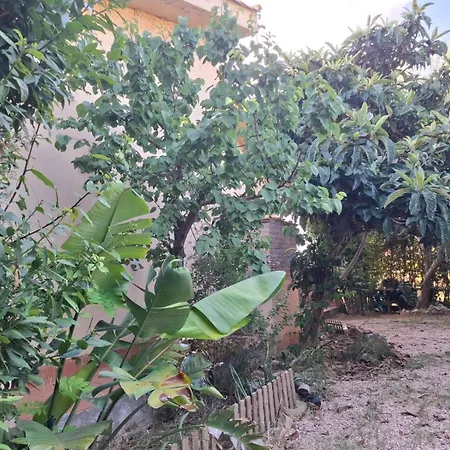 Con Piscina E Giardino Pomaia
