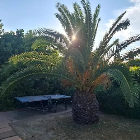 Apartment Con Piscina E Giardino