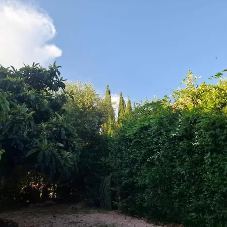 Apartment Con Piscina E Giardino *